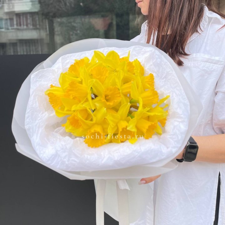 Нарциссы 25 шт в Новочеркасске