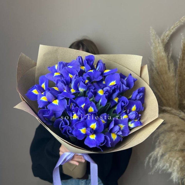 Ирисы в Новочеркасске