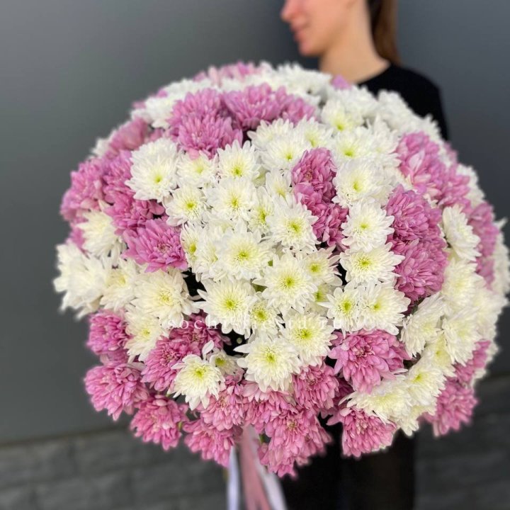  Букет 25 хризантем микс в Новочеркасске