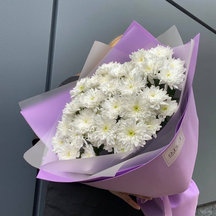  7 хризантем  в Новочеркасске