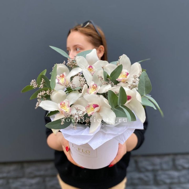 7 орхидей в боксе в Новочеркасске