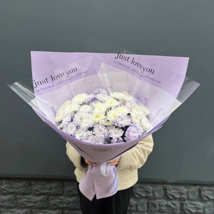 9 воздушных хризантем в Новочеркасске