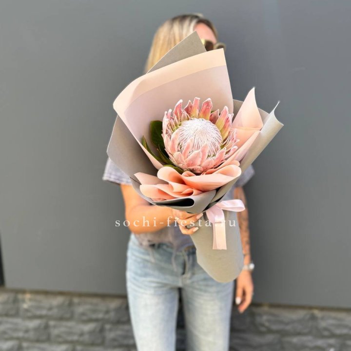 Протея мини  в Новочеркасске