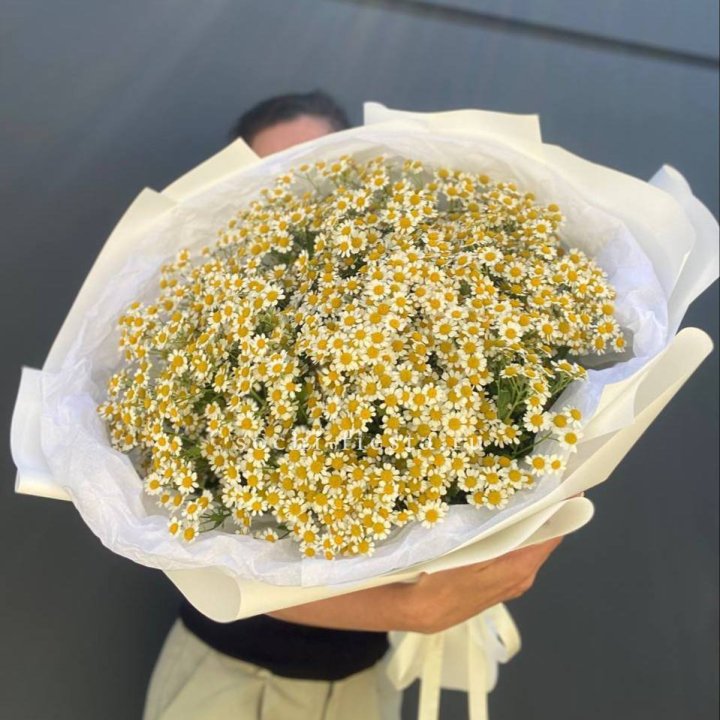 Букет ромашек №2 в Новочеркасске