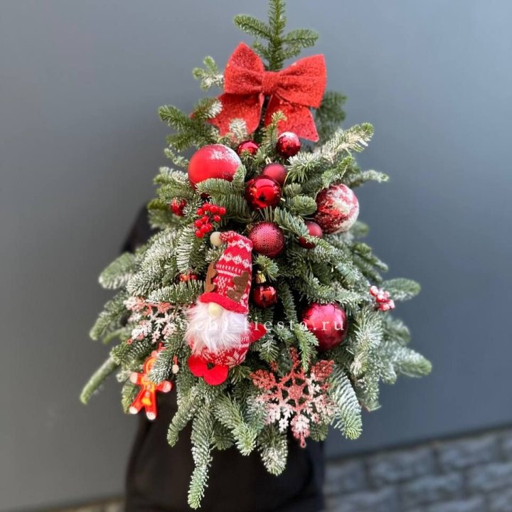 Новогодняя елочка "Ред" в Новочеркасске