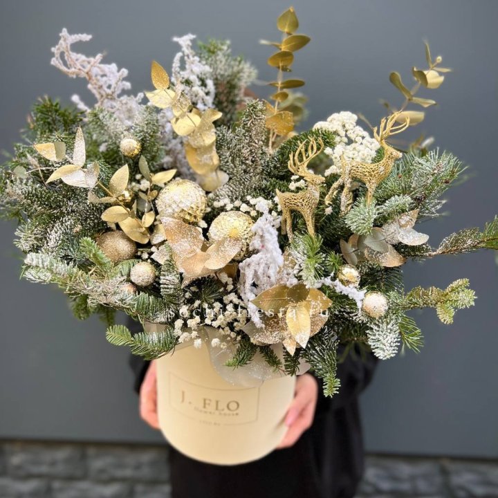 Золотой бокс с нобилисом в Новочеркасске