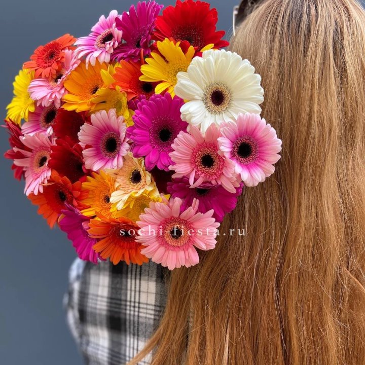 Охапка гербер  в Новочеркасске