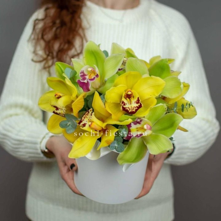 Бокс с орхидей №1 в Новочеркасске