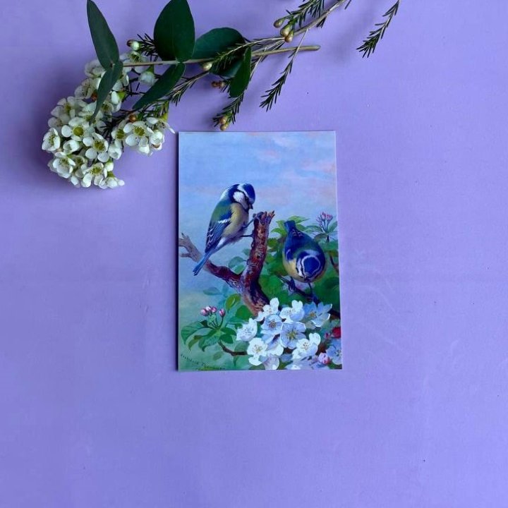 Открытка к букету "Птицы" в Новочеркасске