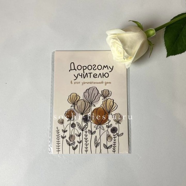 Открытка к букету "Дорогому учителю" в Новочеркасске