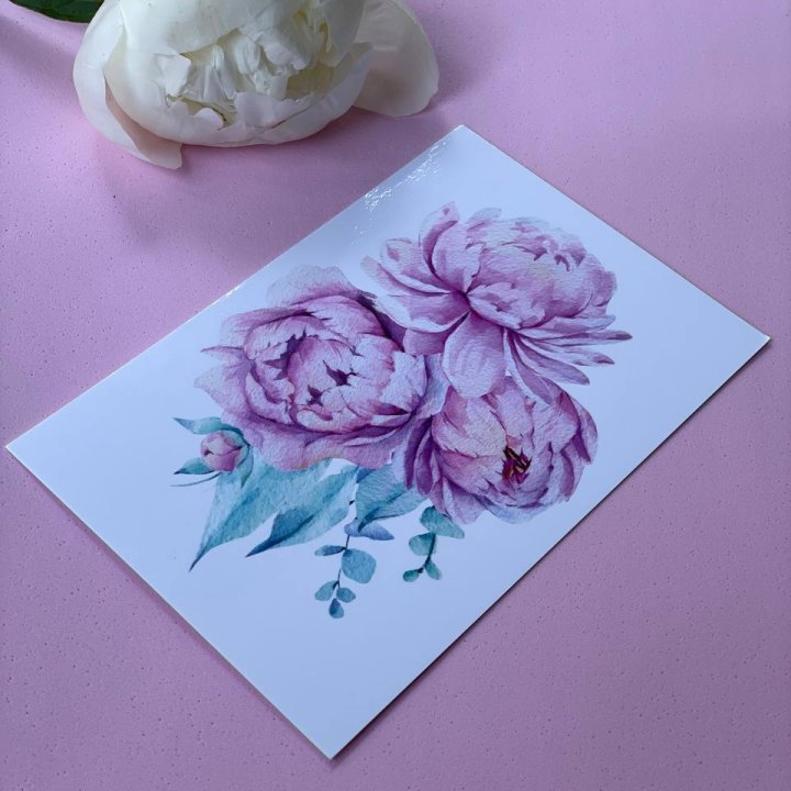 Открытка к букету "Пионы" в Новочеркасске