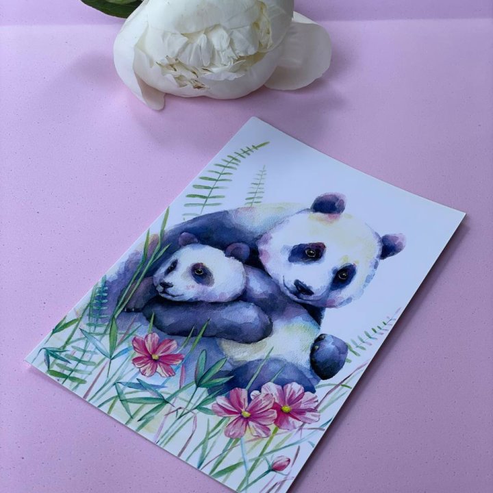 Открытка к букету "Объятие Панды" в Новочеркасске