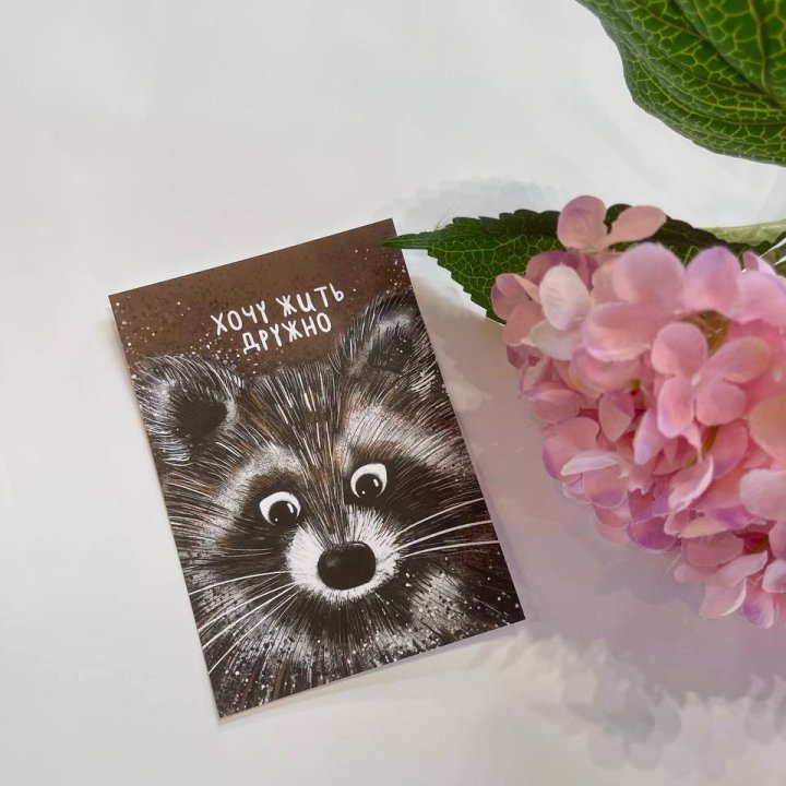 Открытка к букету "Енотик" в Новочеркасске