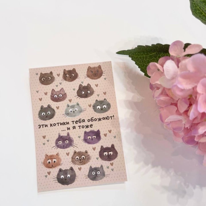 Открытка к букету "Котики" в Новочеркасске