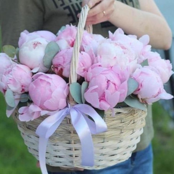 15 пионов в корзине в Новочеркасске