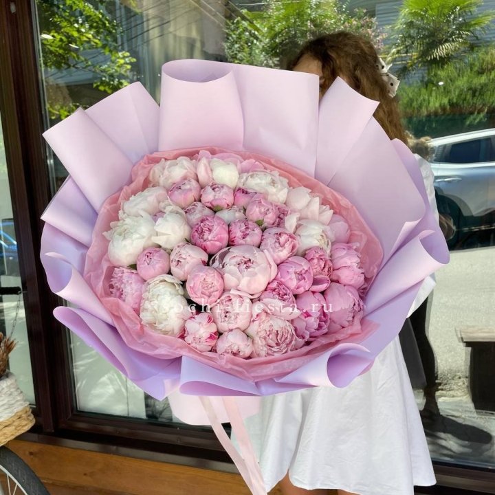 51 розовый пион в Новочеркасске