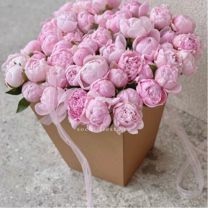 49 пионов в крафт коробке в Новочеркасске