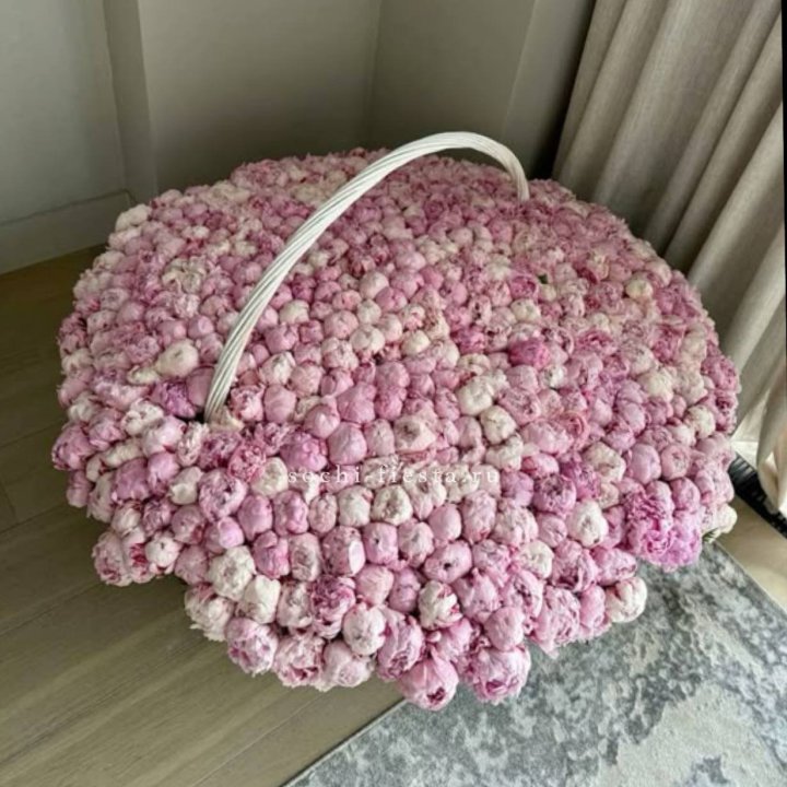 Корзина 555 пионов в Новочеркасске