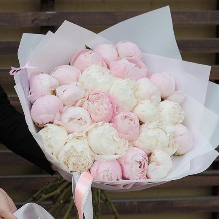 29 пионов в Новочеркасске