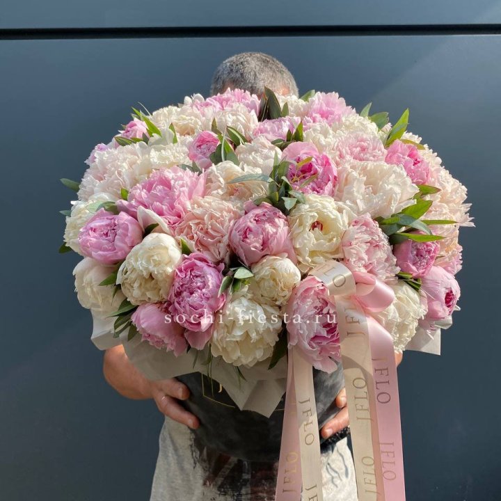 51 пионов в боксе в Новочеркасске