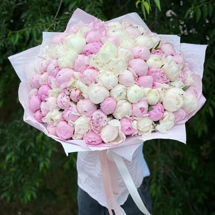 101 пион в Новочеркасске