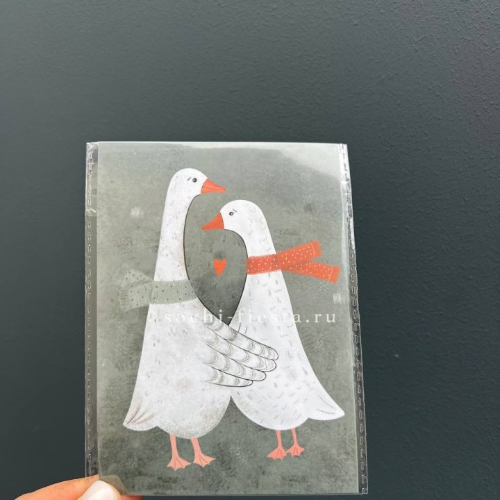 Открытка к букету "Гуси” в Новочеркасске