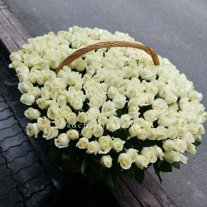 303 розы в корзине в Новочеркасске