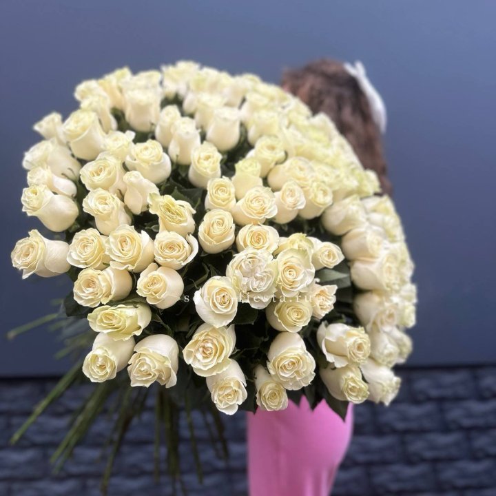 101 белая высокая импортная роза под ленту в Новочеркасске