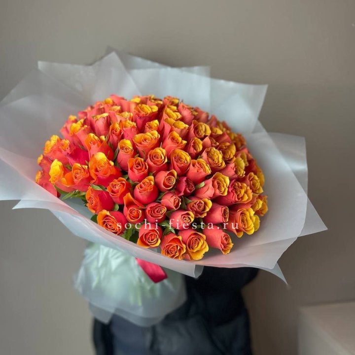 101 кенийская огненная роза  в Новочеркасске