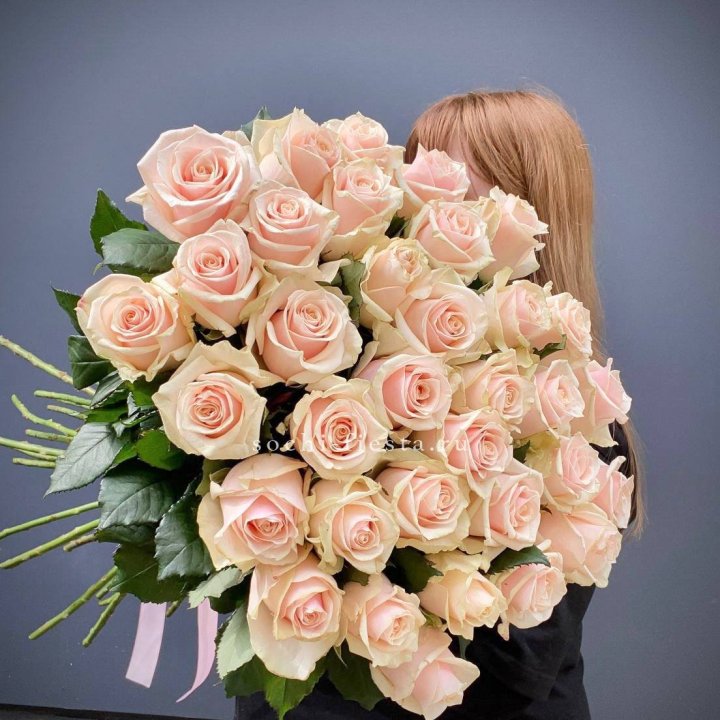 35 кремовых высоких роз в Новочеркасске