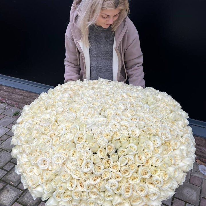 501 белая роза в корзине в Новочеркасске