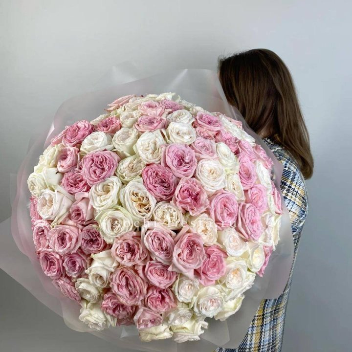 101 роз Охара в Новочеркасске