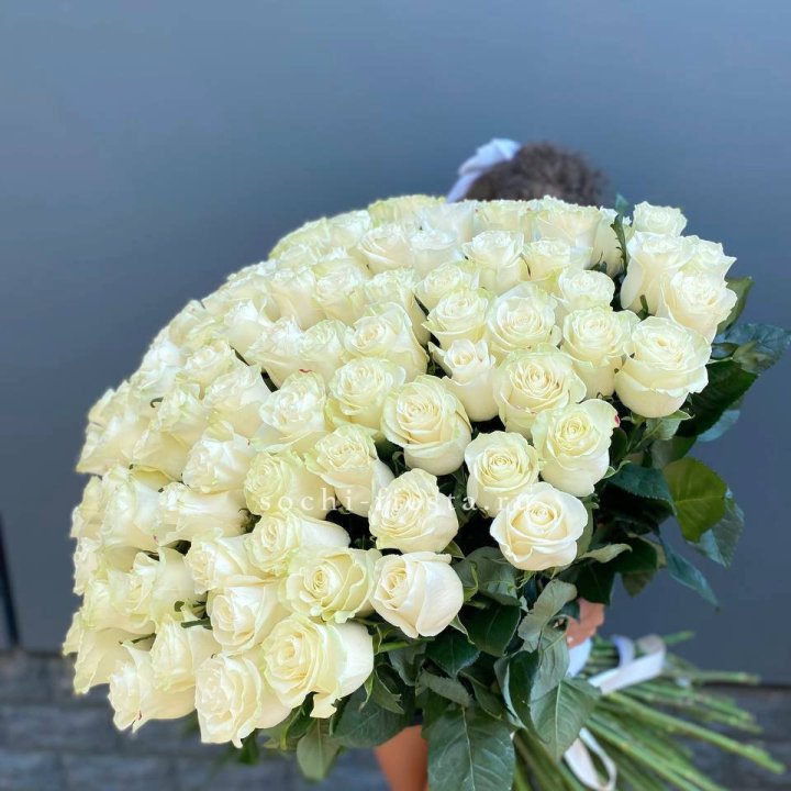 101 белая высокая роза в Новочеркасске