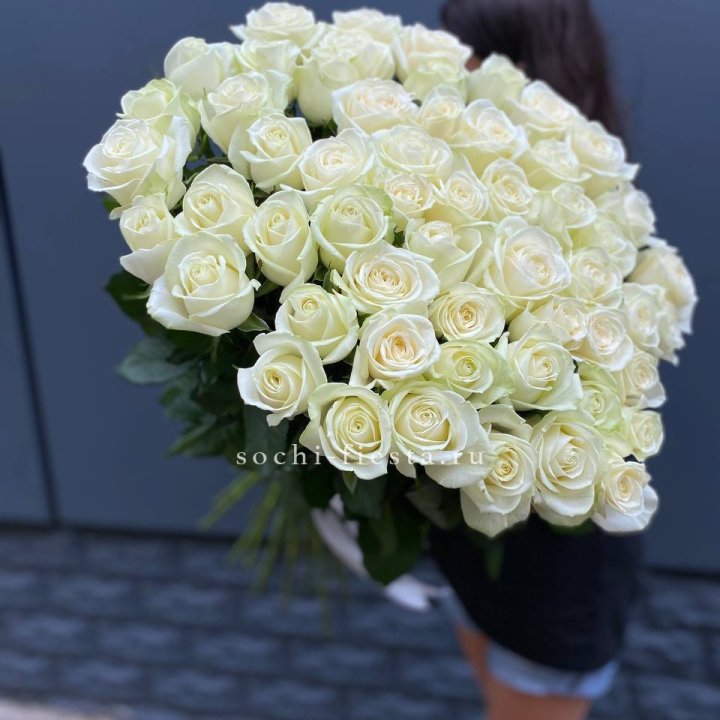 51 белоснежная высокая роза в Новочеркасске