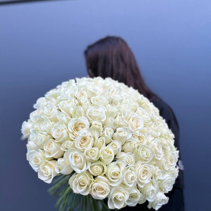 Охапка из 101 белой розы  в Новочеркасске