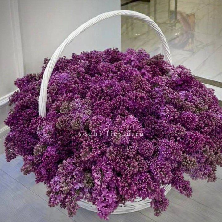 Корзина сирени в Новочеркасске