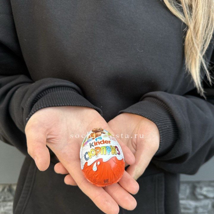 Яйцо "Киндер Сюрприз" в Новочеркасске