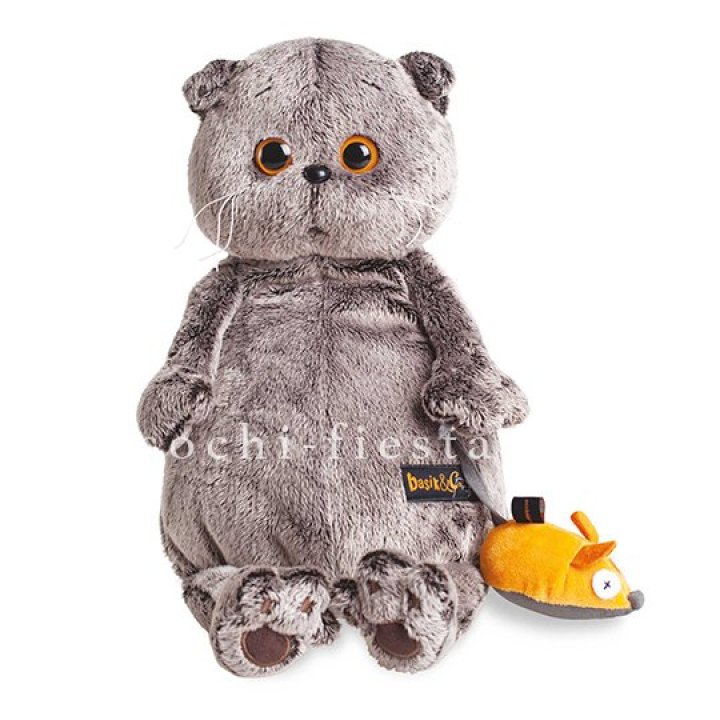 Кот Басик с мышкой в Новочеркасске