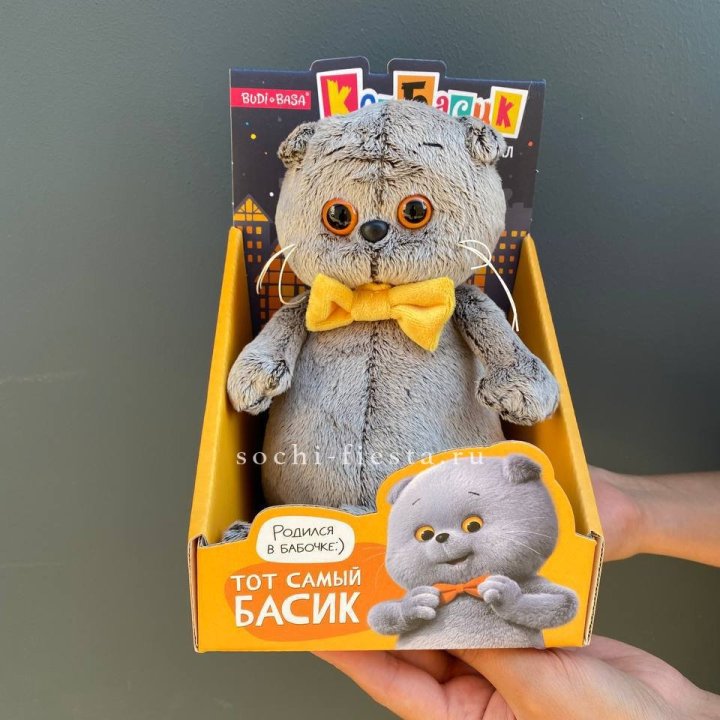 Кот Басик с бабочкой в Новочеркасске