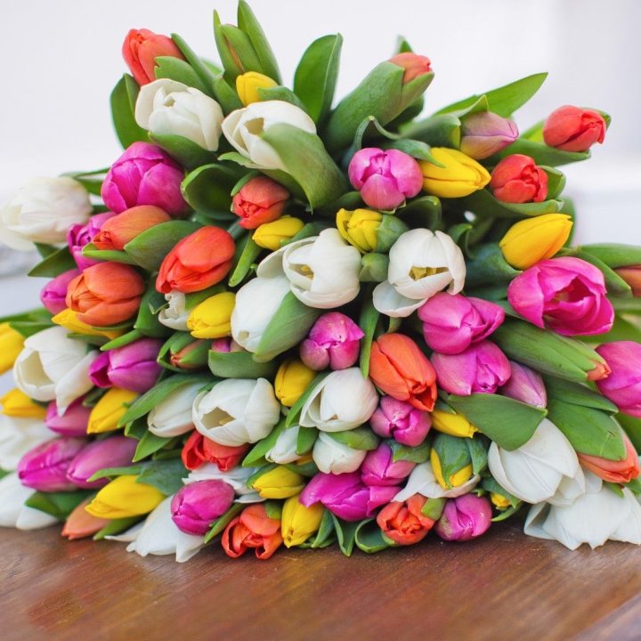 79 тюльпанов "Рандом" в Новочеркасске