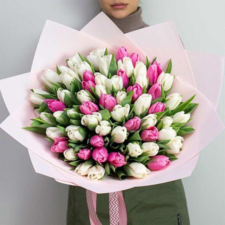 61 бело-розовый тюльпан в Новочеркасске