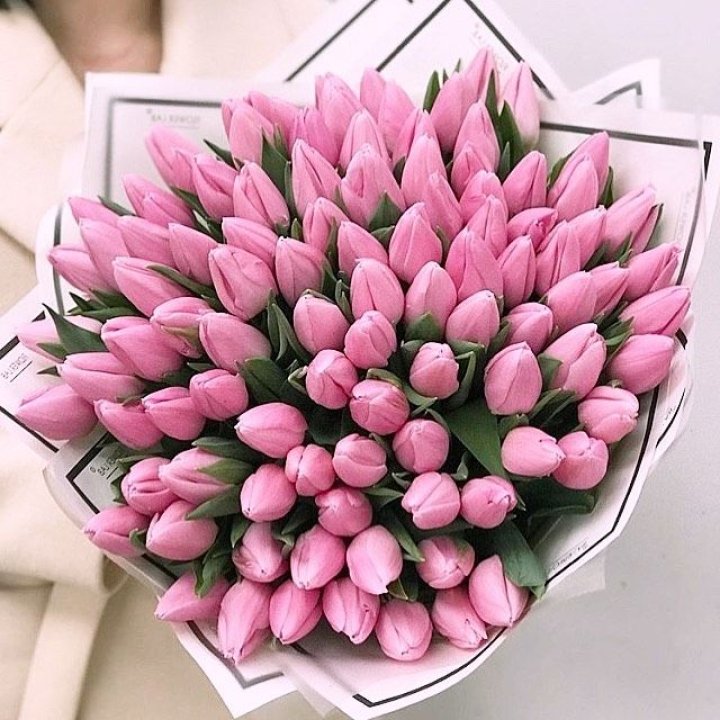101 розовый тюльпан в белом в Новочеркасске