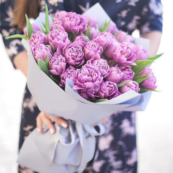 Тюльпаны "Пионс" в Новочеркасске