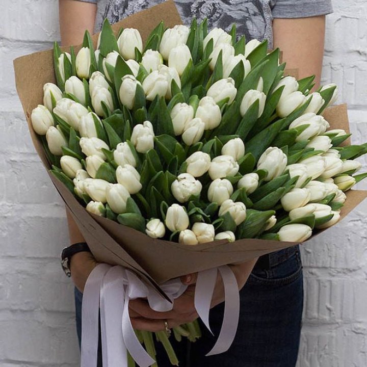 101 тюльпан сноу в Новочеркасске