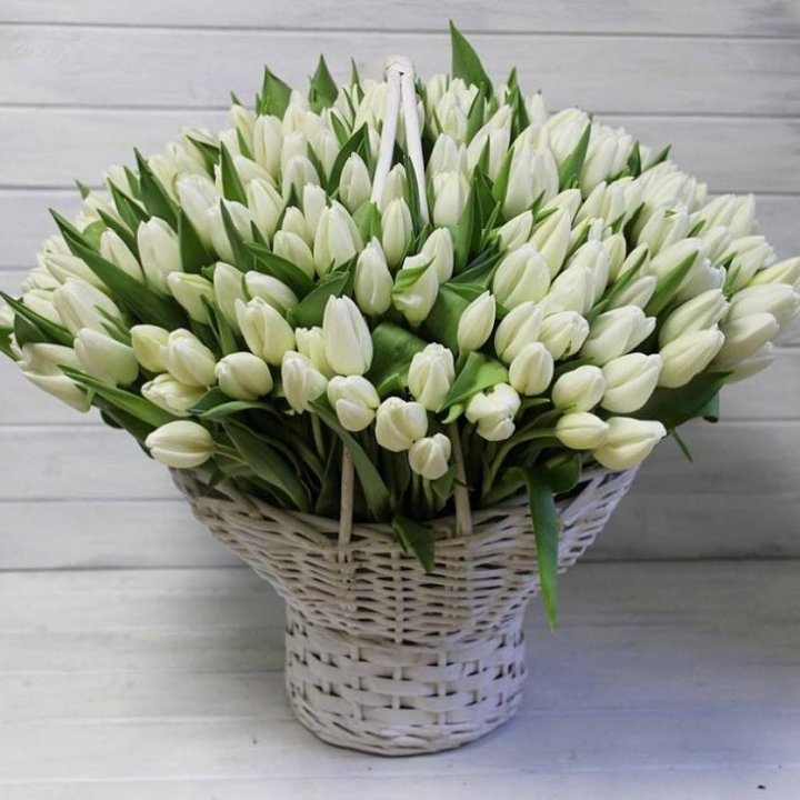 Корзина из 151 тюльпана в Новочеркасске